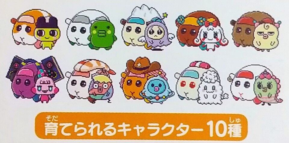 ゾンビリビングなども追加】たまスマカード PUI PUI モルカーフレンズ