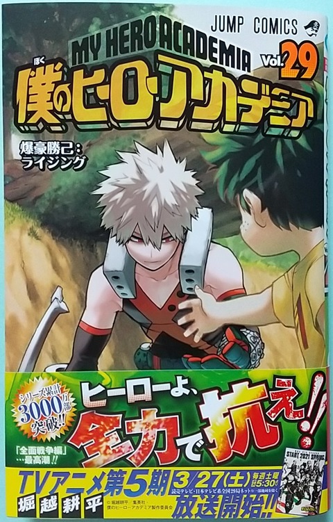 僕のヒーローアカデミア Vol.29 爆豪勝己:ライジング : Chaos