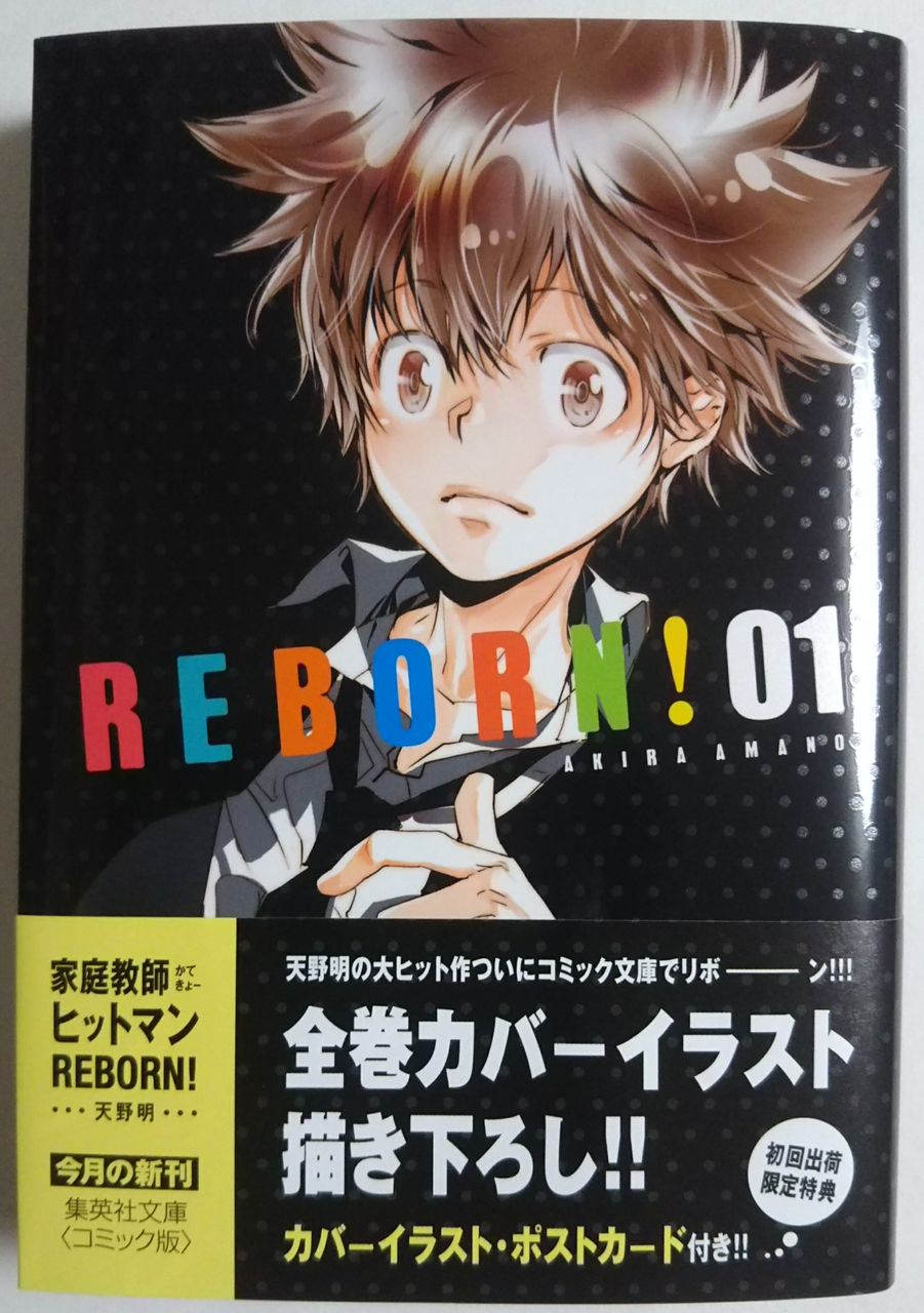 家庭教師ヒットマンREBORN!文庫版 全巻セット ポストカード付き BOX