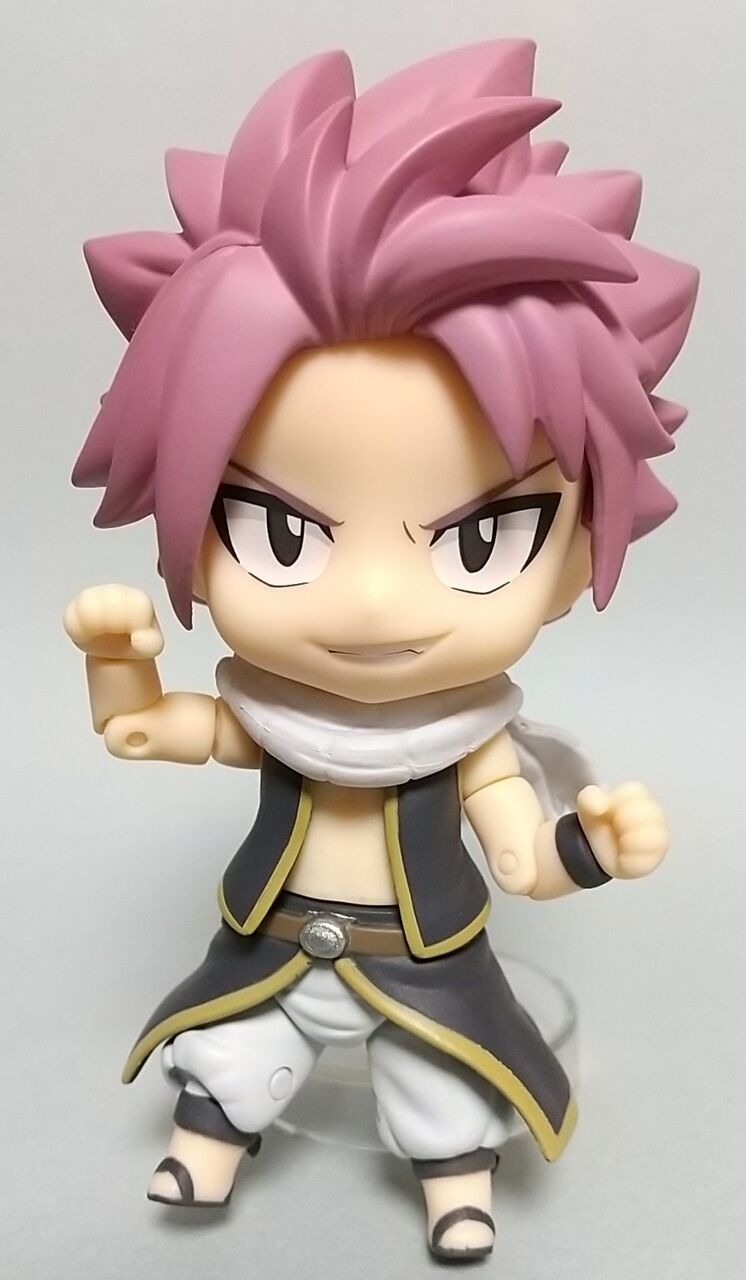 相棒のハッピー付き】FAIRLY TALE ねんどろいど ナツ