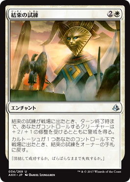 trial_of_solidarity