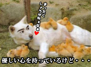 東 トン の壺 ユノ