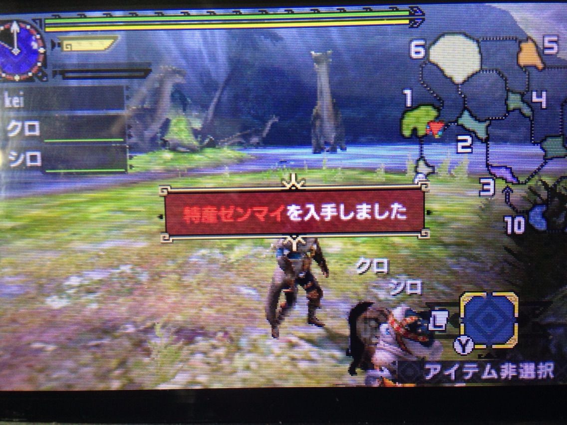 今日の一狩り10 古代林の特産ゼンマイ 気まぐれ狩人日記 モンハンx 今日の一狩り10 古代林の特産ゼンマイ 気まぐれ狩人日記 モンハンx
