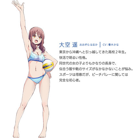 はるかなレシーブ 懐かしのアニメソング 昭和の名作 18年春 夏アニメ はるかなレシーブ 懐かしのアニメソング 昭和の名作 18年春 夏アニメ