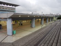 大井 場内散歩 内馬場 (18)
