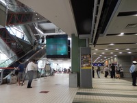 大井 場内散歩その2 (1)