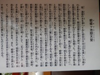 平泉 達谷窟毘沙門堂 (16)