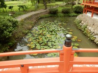 平泉 達谷窟毘沙門堂 (15)