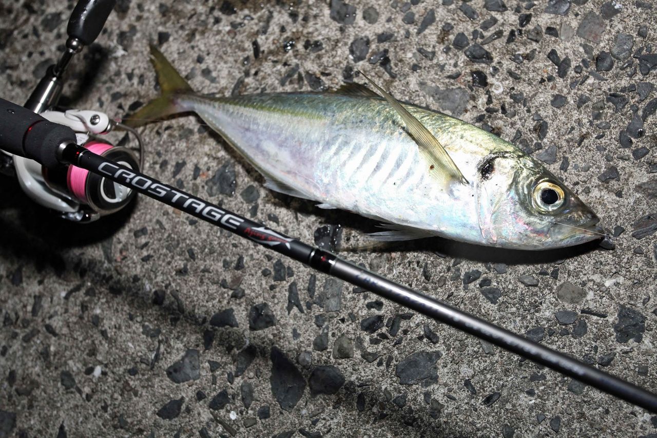 ボートアジングが流行る予感 釣速2chまとめ ボートアジングが流行る予感 釣速2chまとめ