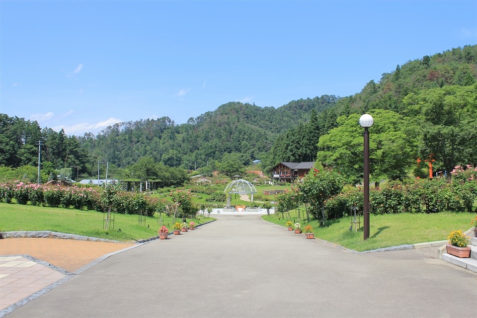 東根バラ園 自由気ままに気のむくままに