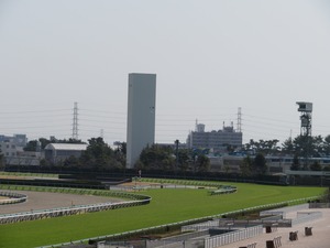 ºå¿À£´¥³¡¼¥Ê¡¼