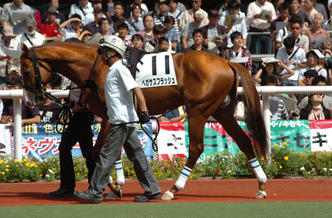 �ڥ������ե�å���-������ѥɥå�