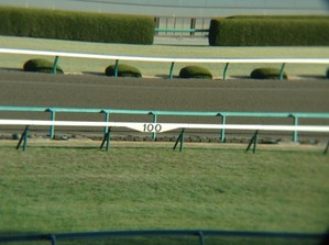 12/23 阪神直線