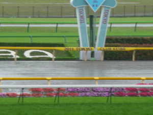 5/29東京ダート