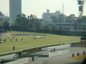 11/7阪神4角