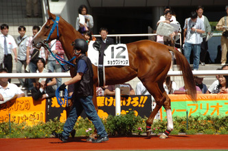 ���祦�兩����-������ѥɥå�