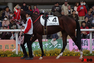 141227-5�ꥢ�륹�ƥ�����
