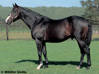 �ۥ磻�ȥޥ���