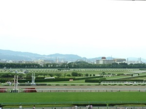 Hanshin1