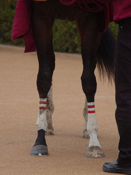 競馬を100倍楽しむ方法(JRDB ブログ)