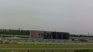 WIN_20180526_10_18_26_Pro
