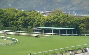 京都4コーナー