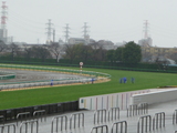 2/28�滳����