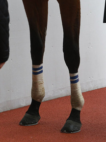 200314-4¥¢¥ó¥¸¥§¥í¥Õ¥£¥ê¥ªµÓ