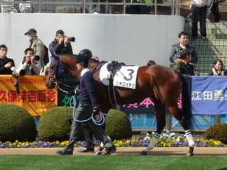 ¥¨¥Á¥´¥¤¥Á¥¨-¿·ÇÏÀï¥Ñ¥É¥Ã¥¯