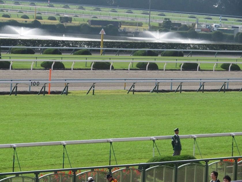 本日の馬場情報 10 27 競馬 Jrdb を100倍楽しむ方法