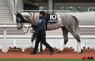 200328-9¥Ü¥ó¥ª¥à¥È¥¥¥Ã¥¯