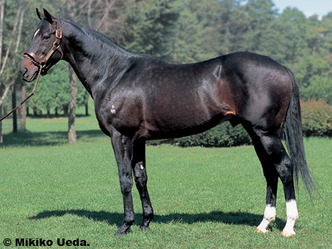 ¥À¥ó¥¹¥¤¥ó¥¶¥À¡¼¥¯