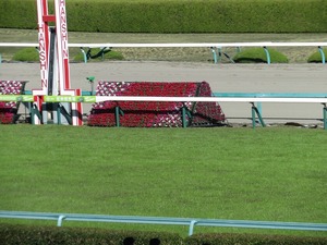 阪神ゴール