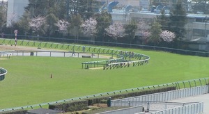 阪神4角