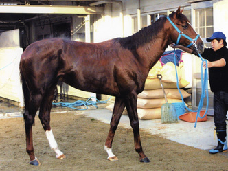 ����饤���ڥ�����