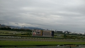 阪神直線