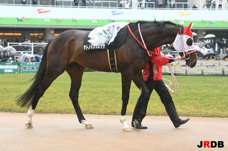 200216-9¥µ¥È¥Î¥¤¥ó¥×¥ì¥Ã¥µ