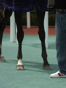 �������󥫥।�ǥ�-��