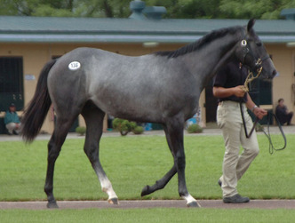 �������󥫥।�ǥ�