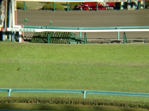 11/30阪神ゴール前