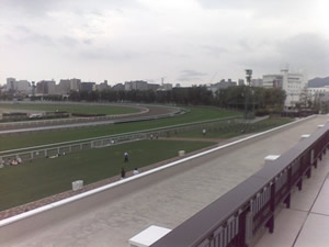 WIN_20160730_090241