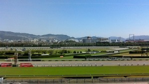 WIN_20180602_09_41_29_Pro