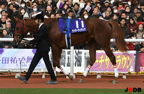血統 馬体講座 ラッキーライラック チューリップ賞 競馬を100倍楽しむ方法 Jrdb ブログ