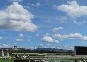 阪神ゴール