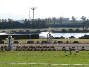 京都ゴール