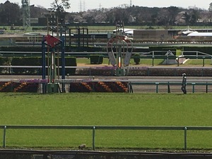 Ãæ»³¥´¡¼¥ëÁ°