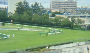 阪神6/28