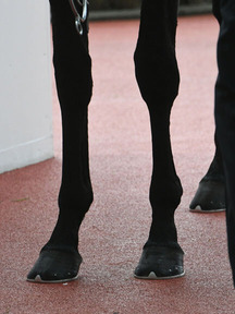 200314-9¥ô¥¡¥ë¥³¥¹µÓ