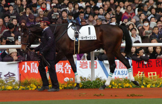 �롼�顼���å�-������ѥɥå�