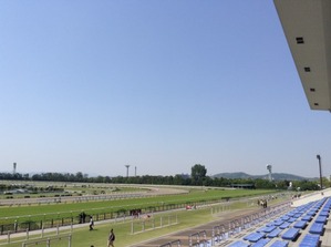 Kyoto1